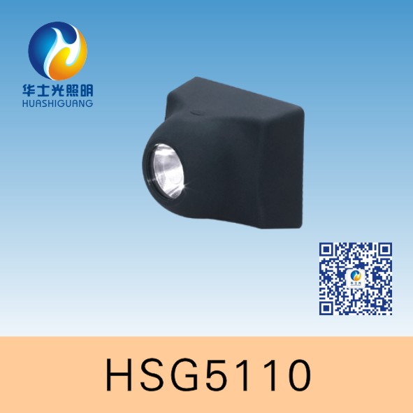 HSG5110/IW5110̬ǿͷ