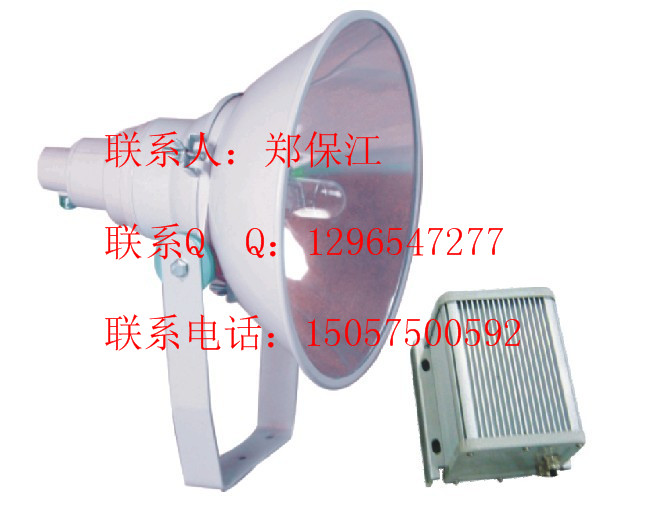 ZY9310-L250ͶZY9310-N400