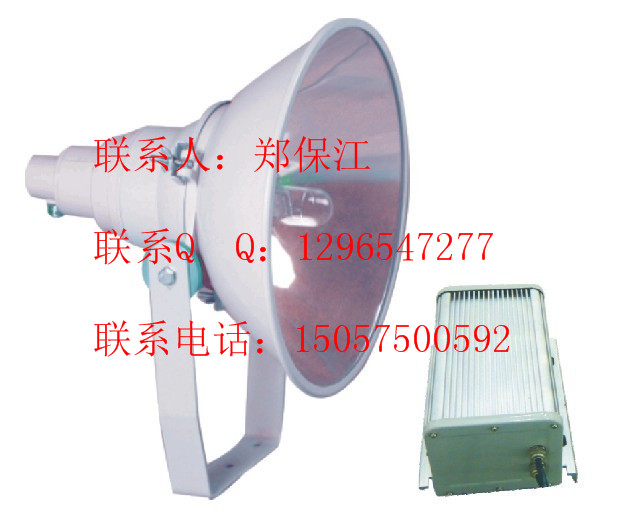 ZY8300-L1000ǿͶZY8300-N1000