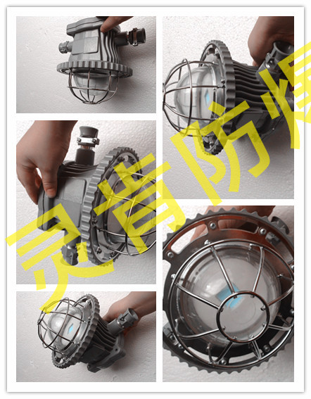 DGS30/127L(A)㽭