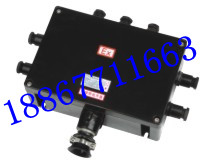 BXJ8050-20PBXJ8050-30P÷