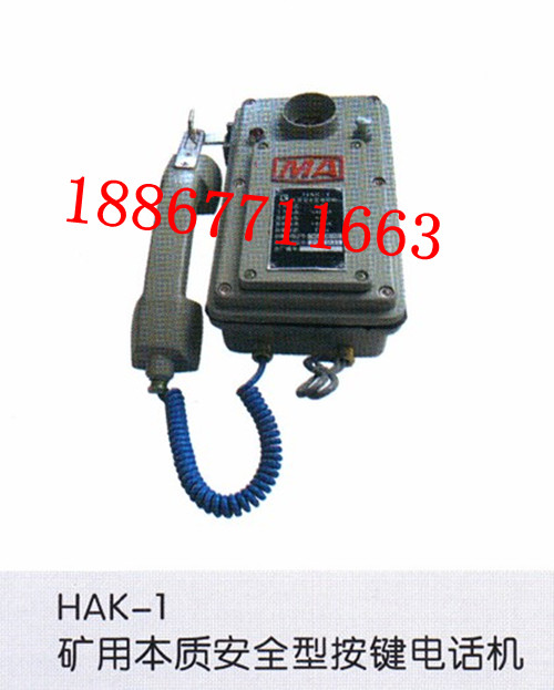ֱͨHAK-1HAK-1