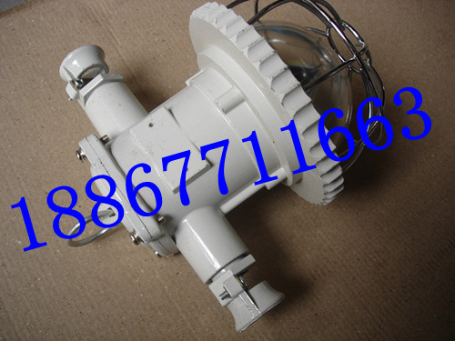 ledDGS24/127L(D)