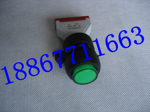 8019Ƴ