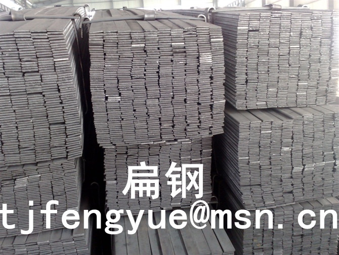 扁钢扁铁,热镀锌扁钢方钢,窄扁钢方钢,异型扁钢方钢