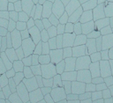 ذPVCذpvcܽذpvcĵذpvc