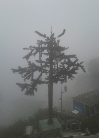 平顶山防公司开封防公司仿生树塔