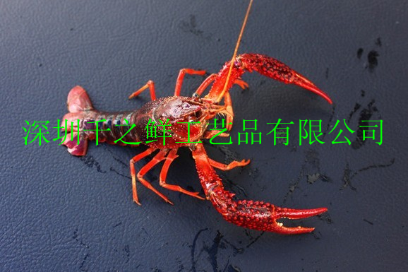 ǧ֮ʷϺ
