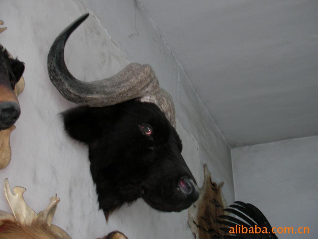 涯걾ҰţͷƷƷ