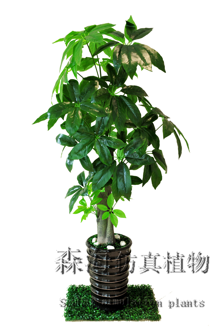 仿真树/仿真植物/仿真发财树
