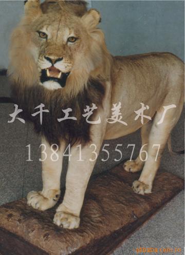 涯ʨ