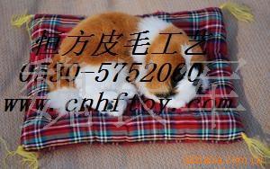 è,涯(ͼ)