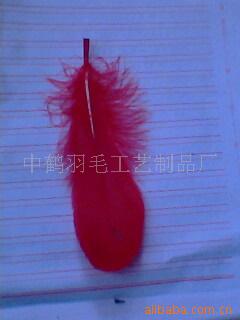 羽毛绒条,火片,羽毛带,羽毛工艺