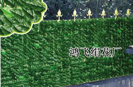 ҶҶ滤