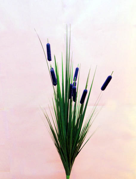 вݳƷ