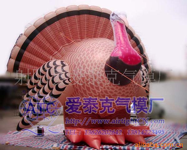ģ