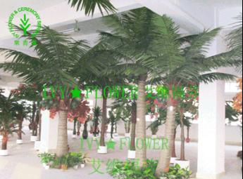 ҬӹҬָҬ
