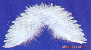 羽毛工艺品/羽毛制品/羽毛天使翼