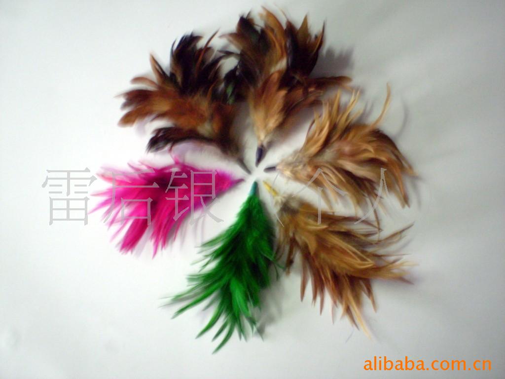 羽毛工艺制品/羽毛花/雀,鸵鸟毛