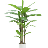 仿真芭蕉树,仿真植物,仿真树
