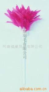 ëƷ/ëƷ/ë/ë廨