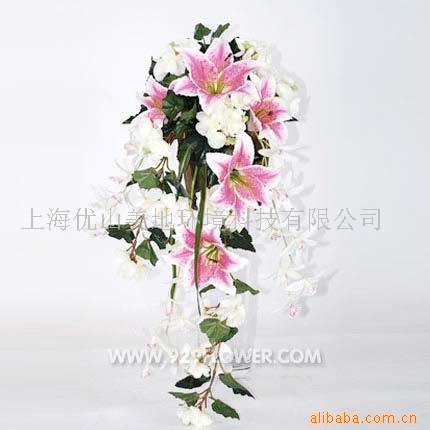 滨û