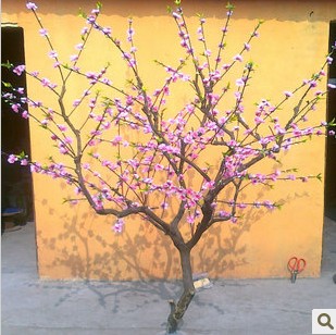 һһӣӰ¥̨װο