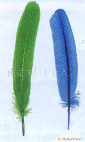 羽毛工艺品/羽毛制品/火鸡毛/羽毛笔
