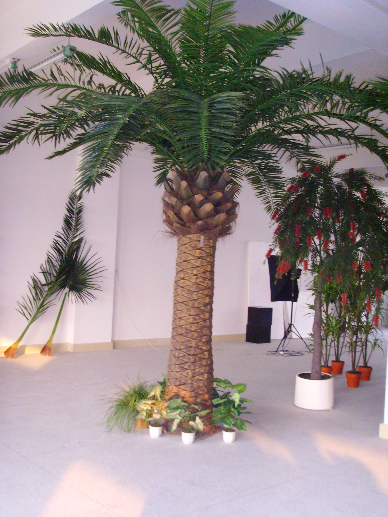 仿真植物仿真海藻树