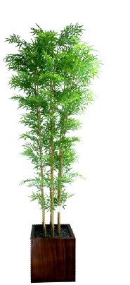1118