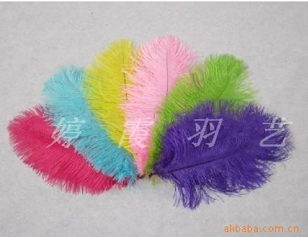 鸵鸟毛支,羽毛制品,做工精良,价格适中