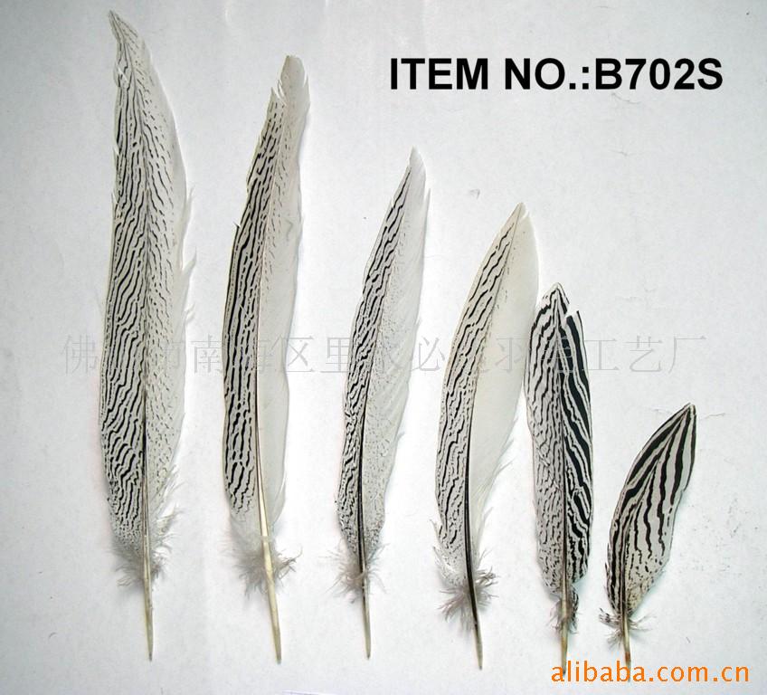 B702SëΣñװ