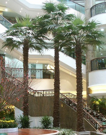 仿真植物仿真棕榈树