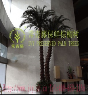 ͱʱ汣