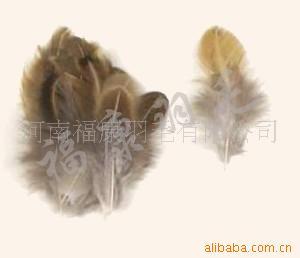 羽毛制品羽毛原毛/野禽毛各种饰品配件(图)