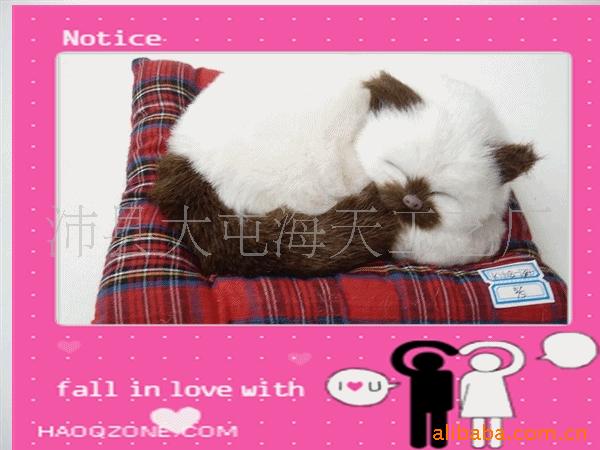 涯ﲼè