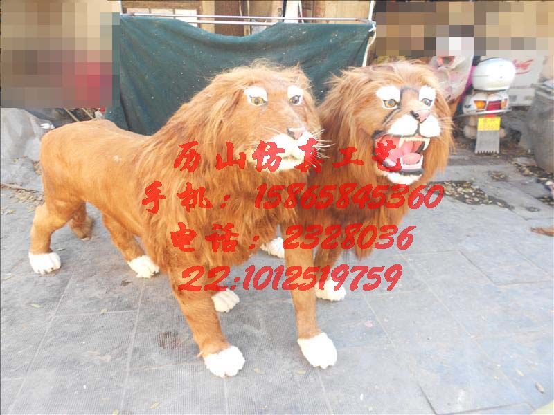 ʨ