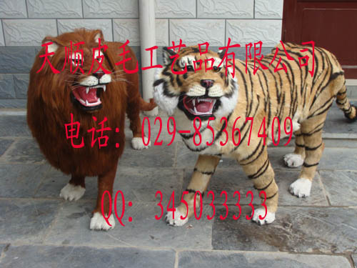 õķϻʨӷϻʨ