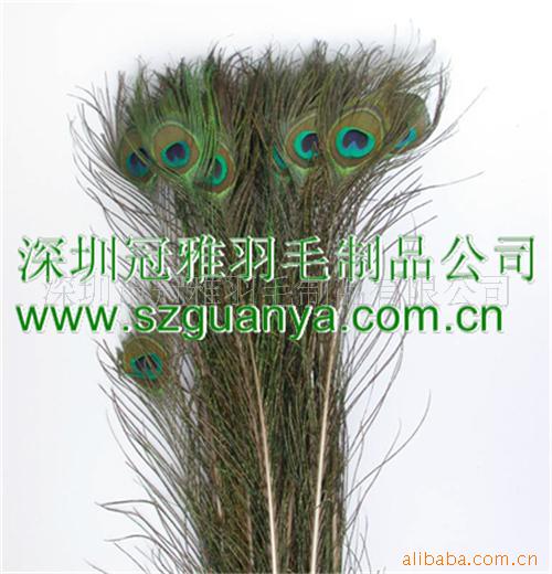 雀毛