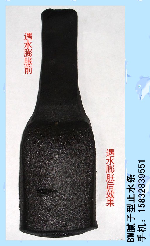 BW-S120ˮֹˮPZ250ֹˮ