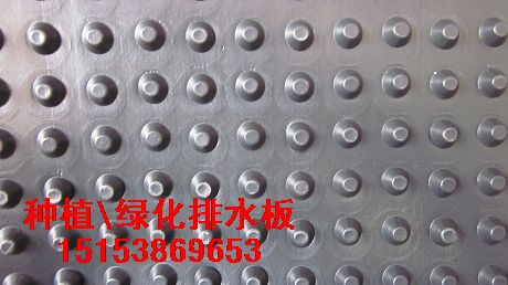 Ӧˮ/ˮ/ˮ/15153869653