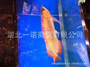 ӭͻѡˮͿϼٲ©