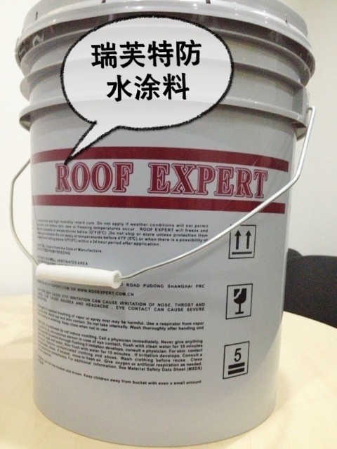 ROOFEXPERTwp01-01ˮԱϩ