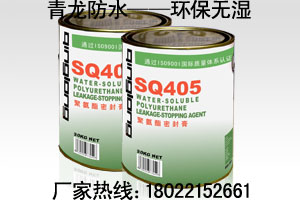 ˮϳҹӦ۰ܷࣨSQ405