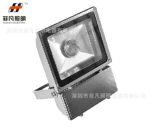 LED-10W.20W.30W.50W.100W