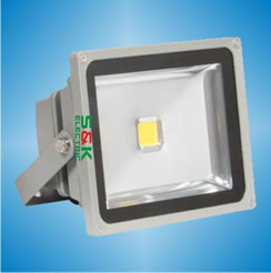 LED50W