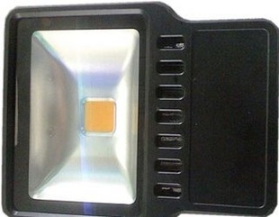 ֱ100W