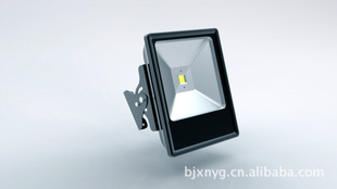 LED10-80WƣƷ