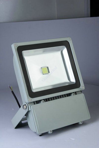 LED100W-2Ͷ