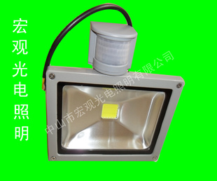 LEDӦ20WLEDӦƣ[ѹ110V]